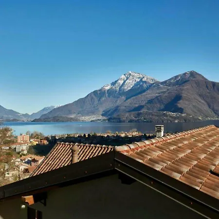 Ulivi On The * 东戈