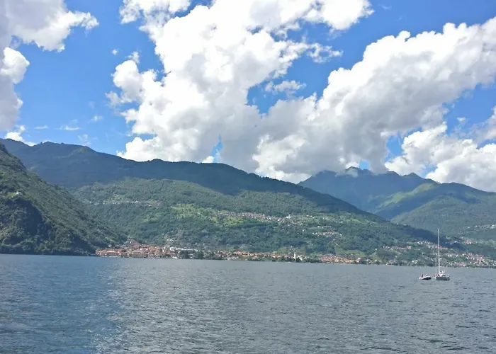 Ulivi On The * Dongo