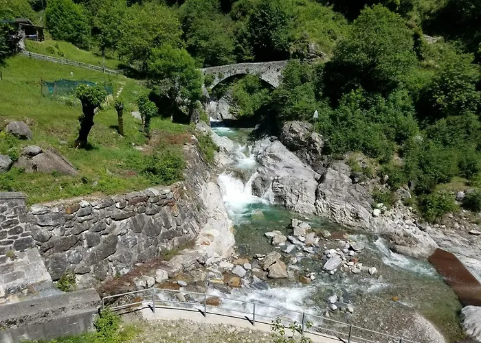 Ulivi On The * Dongo