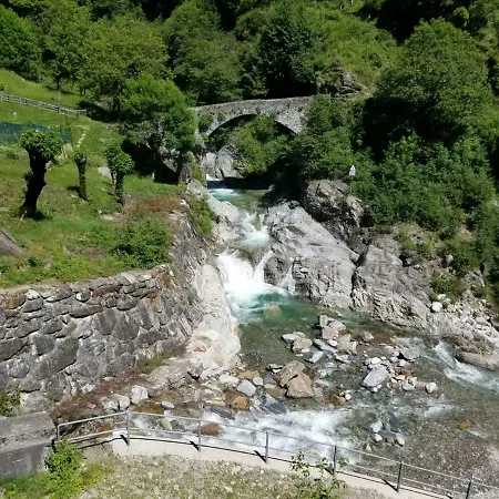 Ulivi On The * Dongo