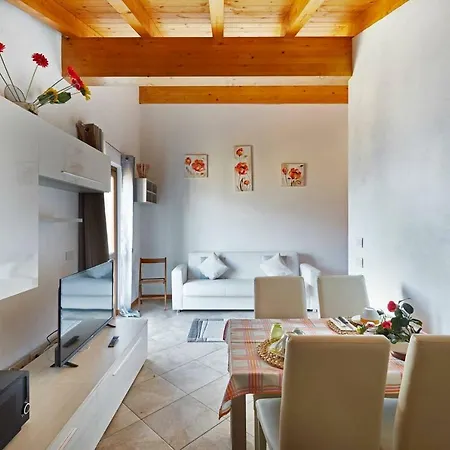 Ulivi On The * 동고