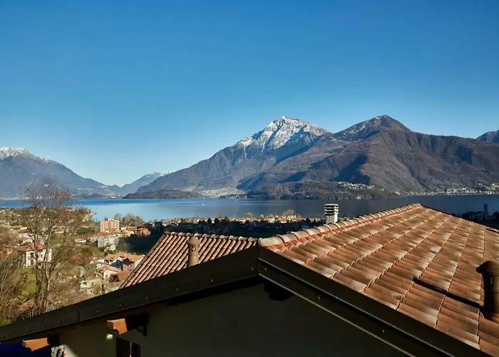 Ulivi On The * 东戈