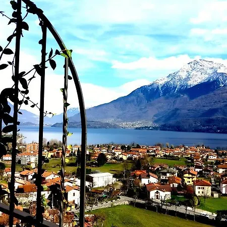 Apartman Ulivi On The