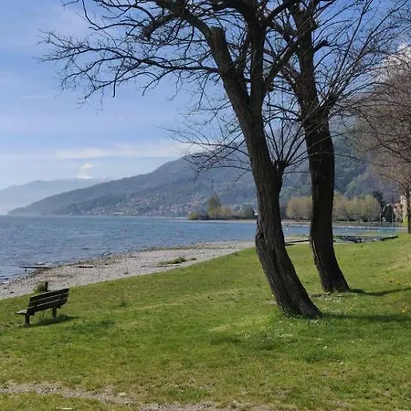 Apartman Ulivi On The